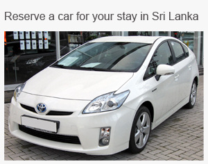 Rental Cars in Sri Lanka  Kapruka Rental Services